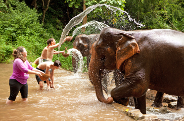 thailand - chiang mai_elefant_bad_01