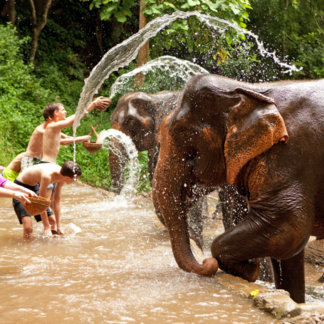 thailand - chiang mai_elefant_bad_01