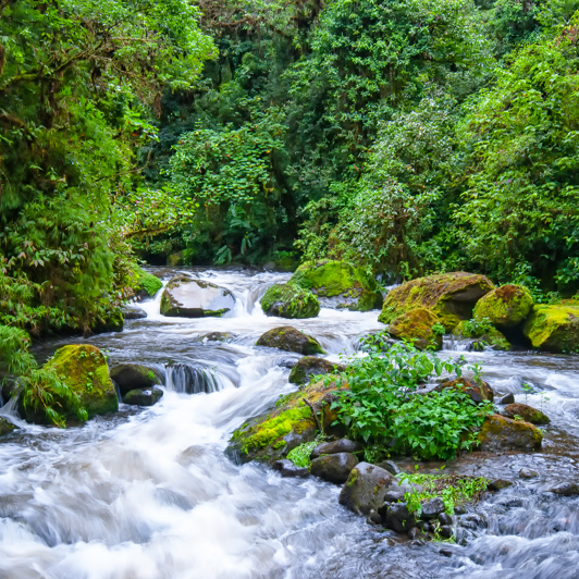costa rica - san gerardo de dota_01