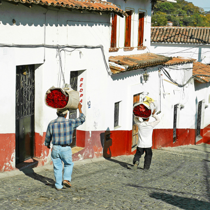 mexico - taxco_gade_03