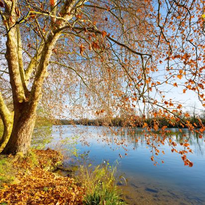 Auvers Sur Oise Flod Efteraar 2709277907