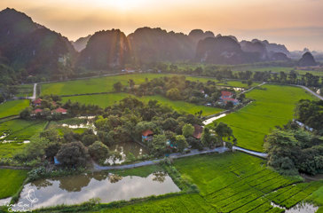 Aerial