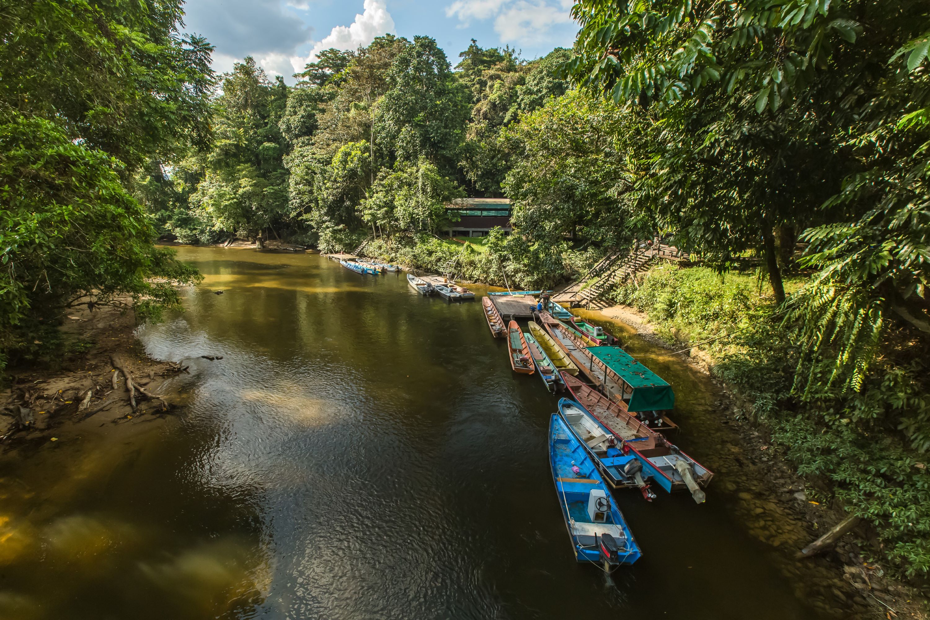 Mulu National Park Flod 1683144508