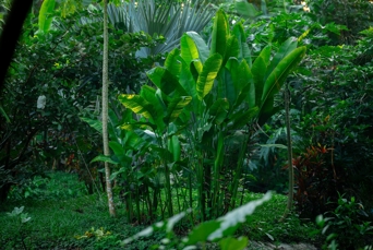 Khao Sok 02