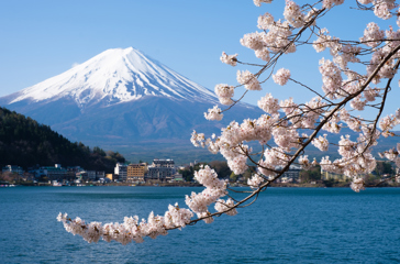 japan - mt fuji_bjerg_udsigt_01