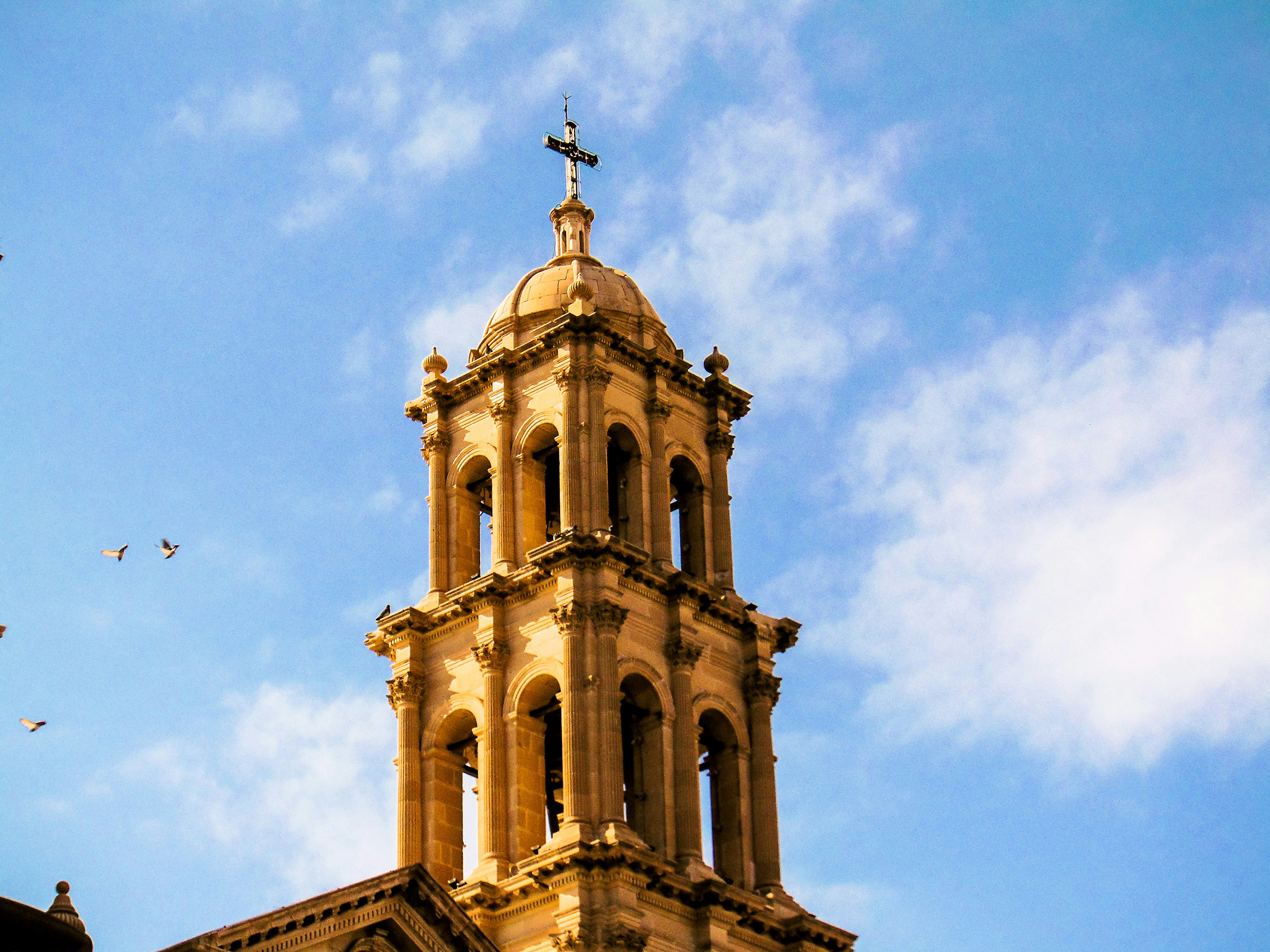 Chihuahuas katedral