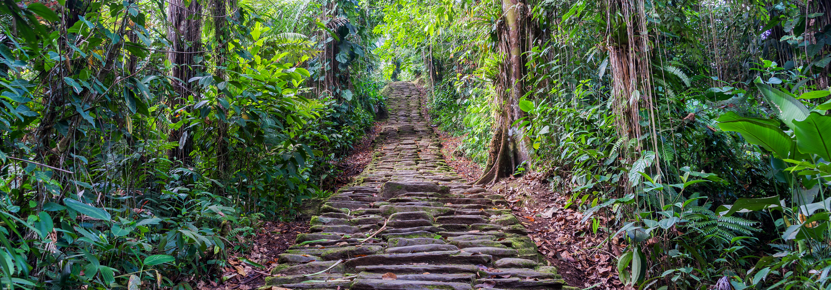 colombia - colombia_ciudad perdida_02