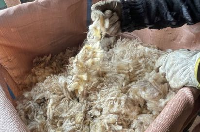 lam lokal besøg line