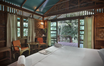Our Jungle House