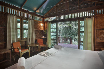 Our Jungle House Treehouse 18
