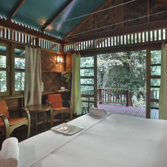 Our Jungle House