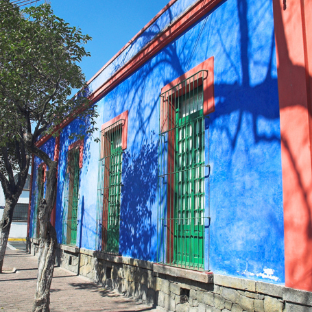 mexico - frida kahlo_hus_01