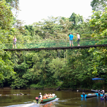 mulu national park_03