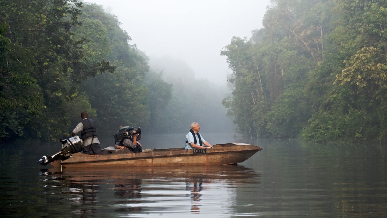 borneo_sukao river_david attenborough_01