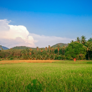 thailand - koh yao noi_mark_01