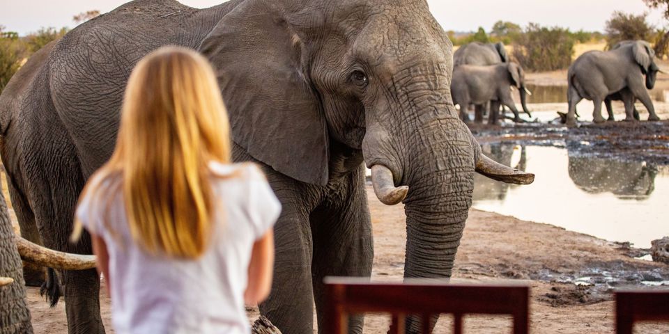 Zimbabwe Hwange National Park African Elephant At Lodge Girl In Front