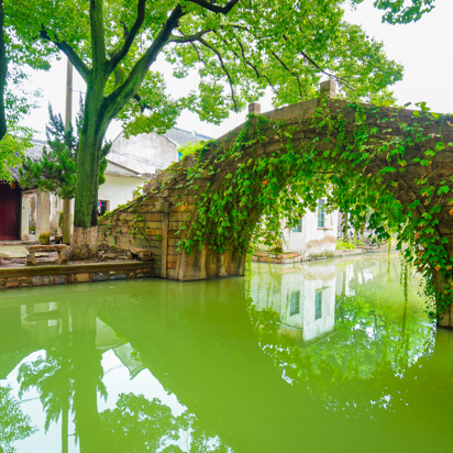 Tongli Kanal As 1857884928