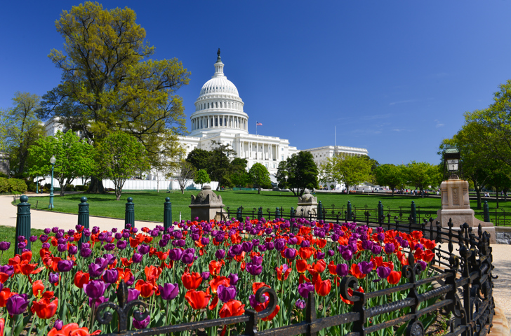 Washington Capitol 05