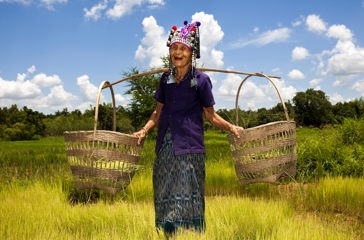thailand - thailand_rismark_farmer_02