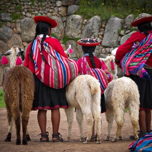 peru - peru_befolkning_pige_lama_01