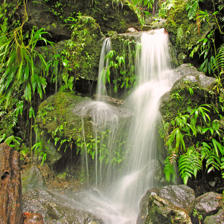 roseau_dominica_vandfald_02
