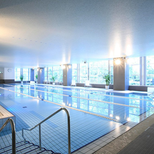 Daiwa Roynet Hotel Tokyo Osaki Onsen Pool