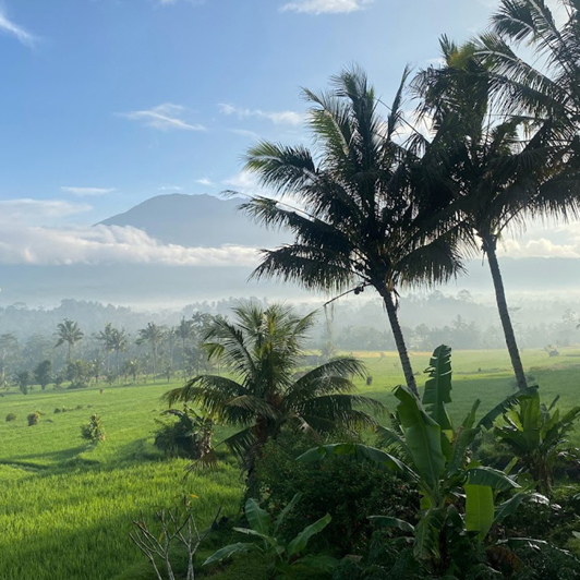 Sidemen på Bali