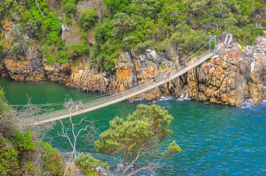 sydafrika - garden route_tsitsikamma_01