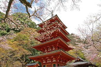 japan - kamakura_hasedera temple_01