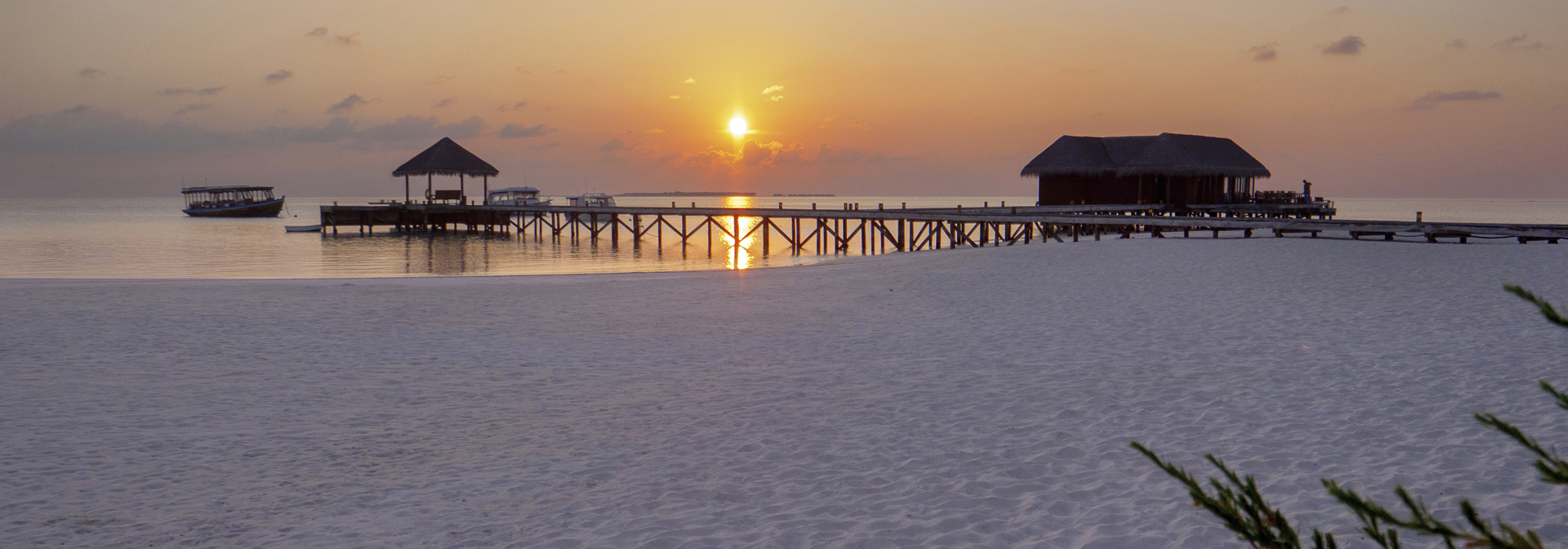 MirihiIslandSunsetBeach