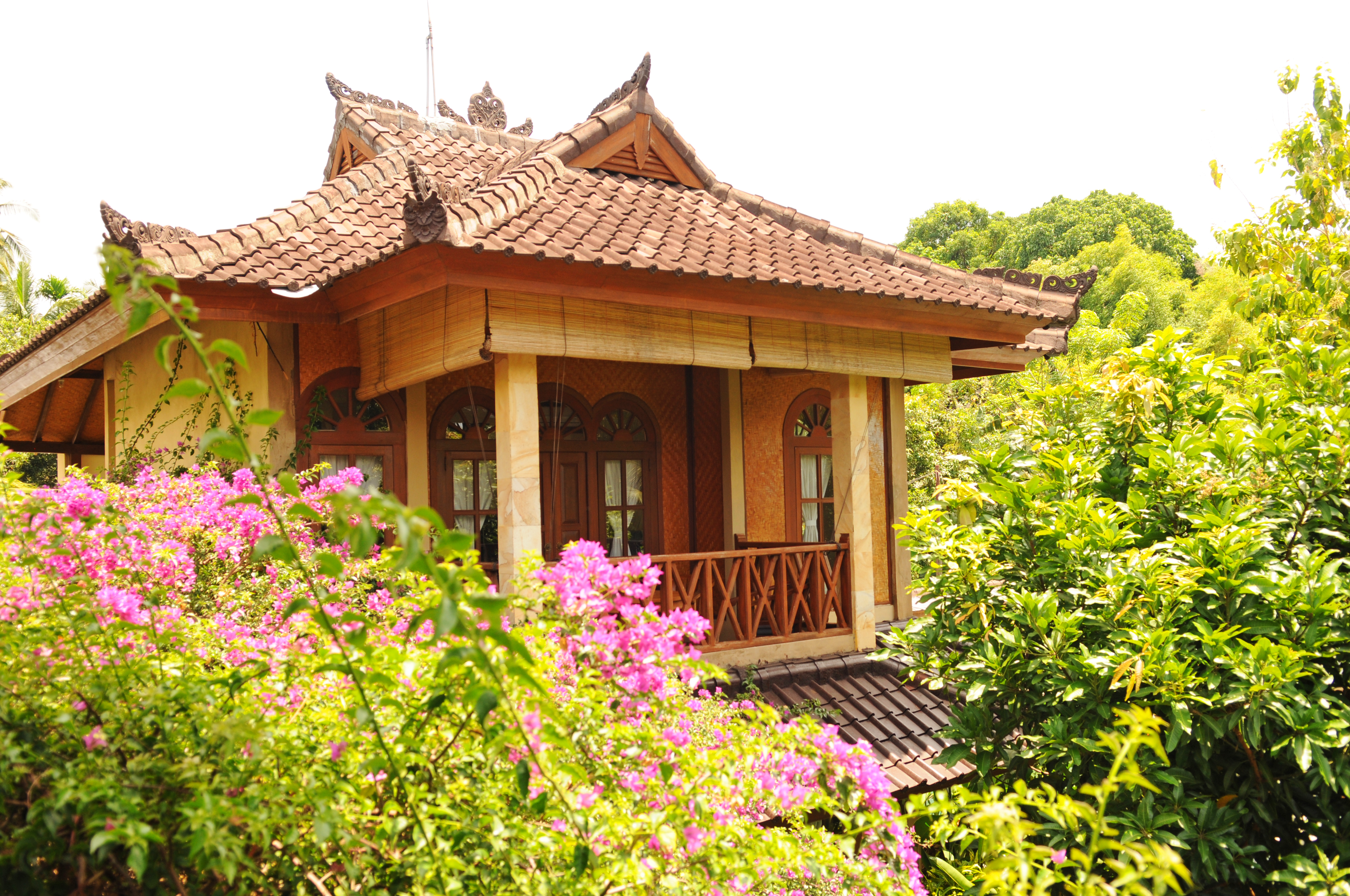 bali - lovina - villa rumah cantik_hus_01