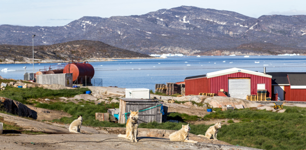 Oqaatsut_slædehunde_01