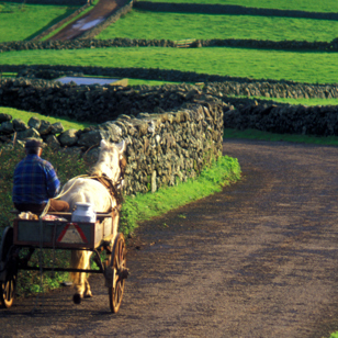 Irland Donkey Farmer Buggy Rural Road GI