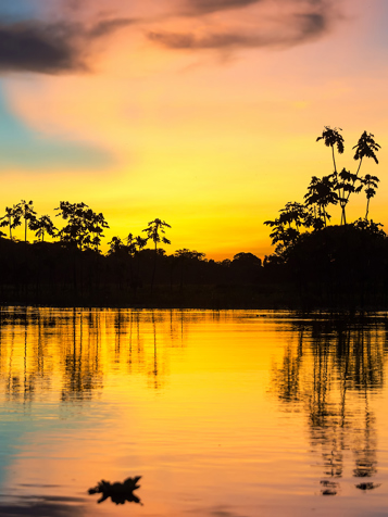 peru - amazonjunglen_02