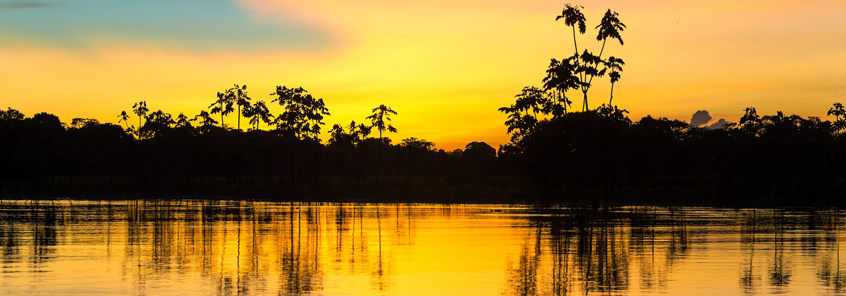 peru - amazonjunglen_02