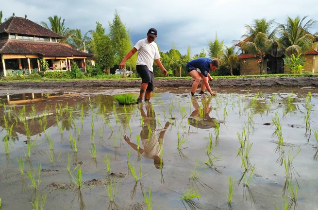 bali - munduk - atres villa_rismark_07