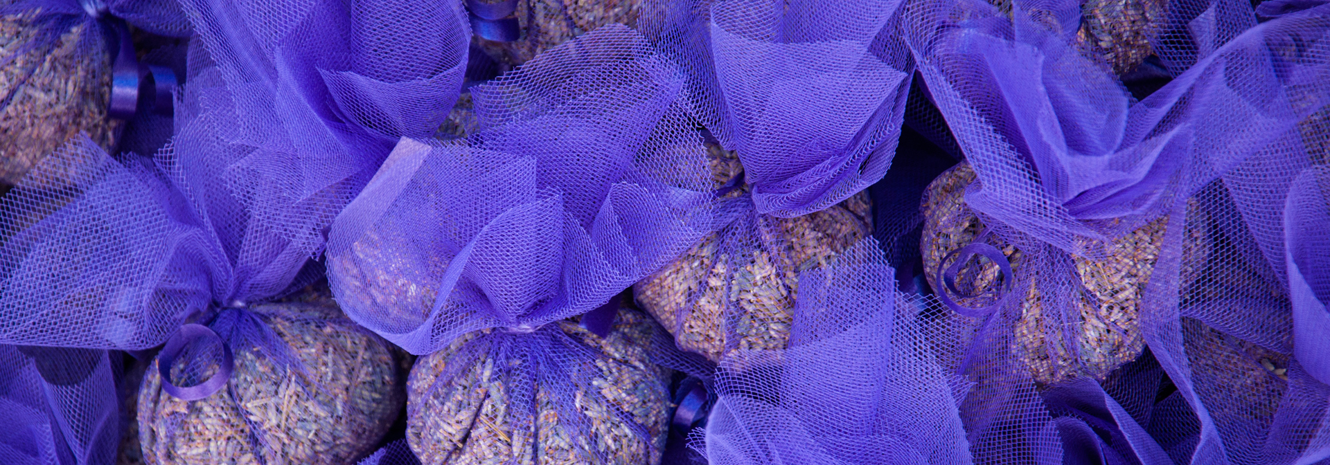 Lavendel_02