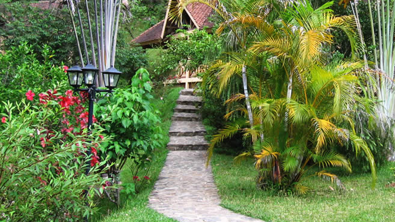vakona forest lodge_vaerelses hytter_natur_udendoersareal_06
