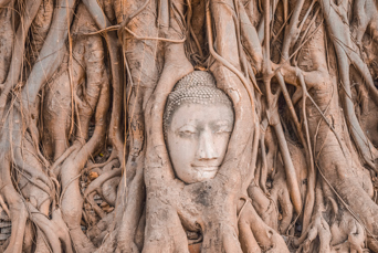 thailand - ayutthaya_udflugt_buddhahoved_01