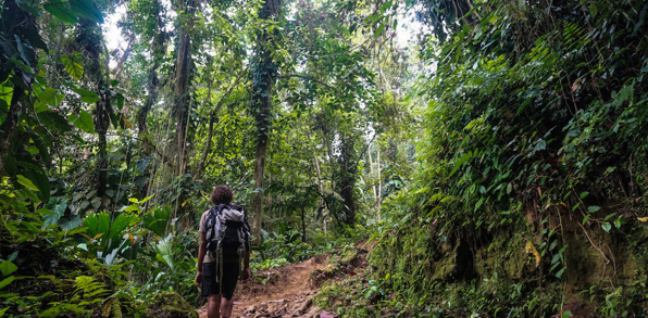 colombia - the lost city_02