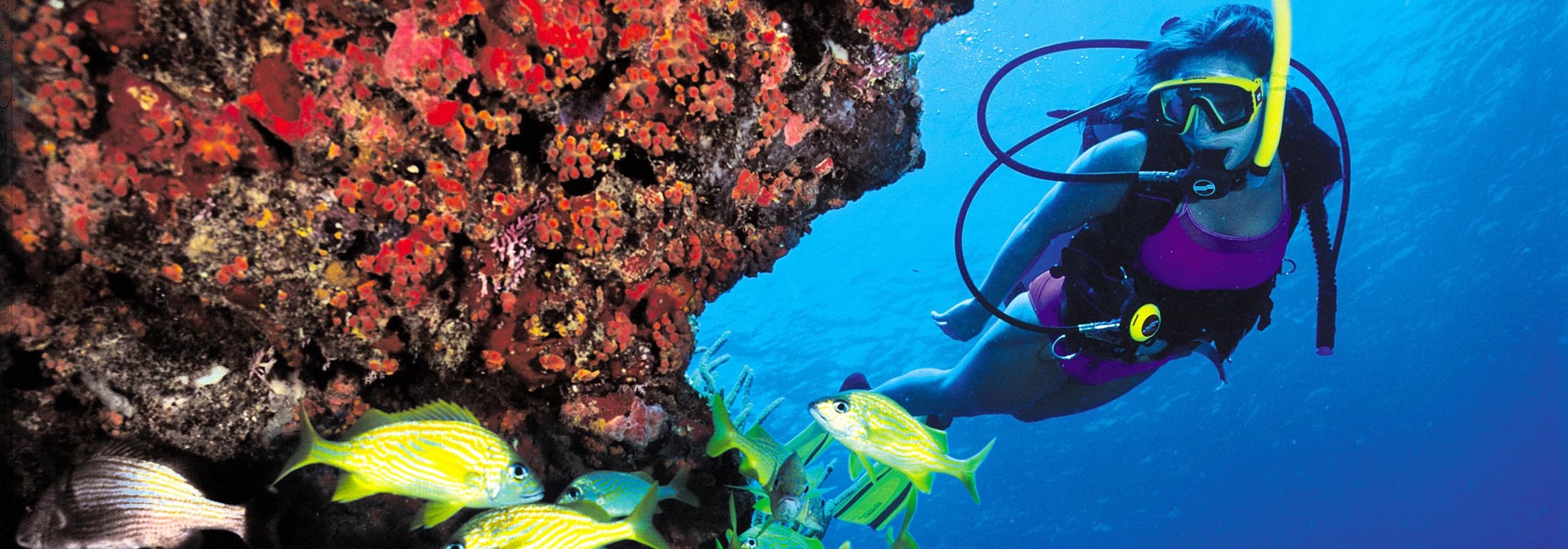 dansk vestindien - dansk vesindien_dykning_01