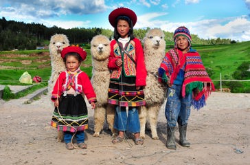 peru - cuzco_befokning_boern_lama_01