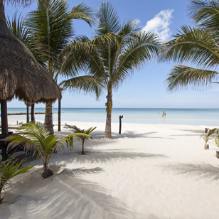 mexico - Dreams holbox_strand_01