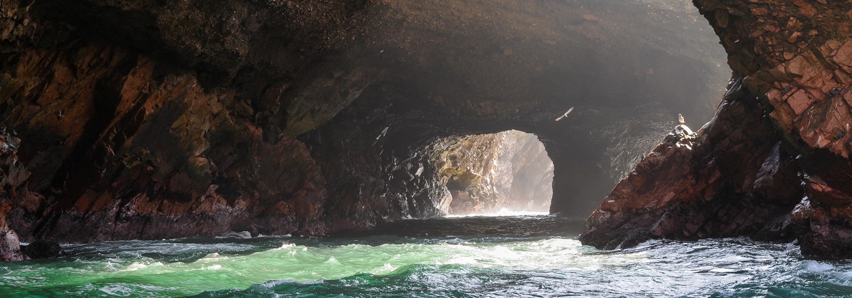 peru - ballestas oeerne_02