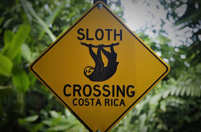 Costa Rica Kør Selv2