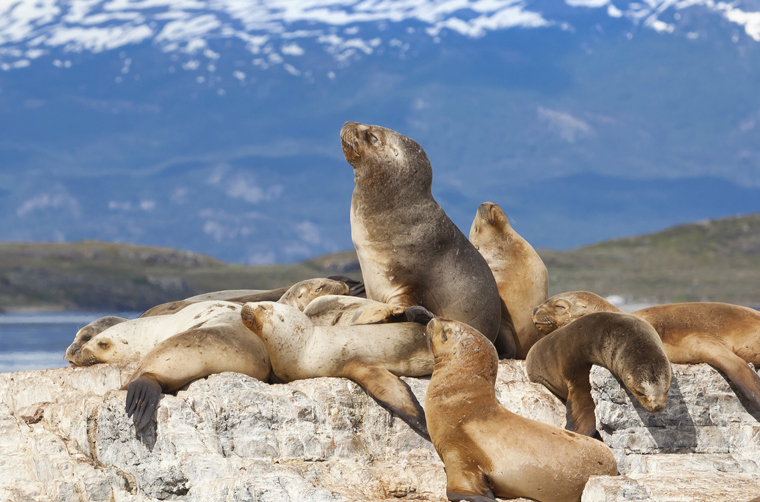 argentina - ushuaia_33.02