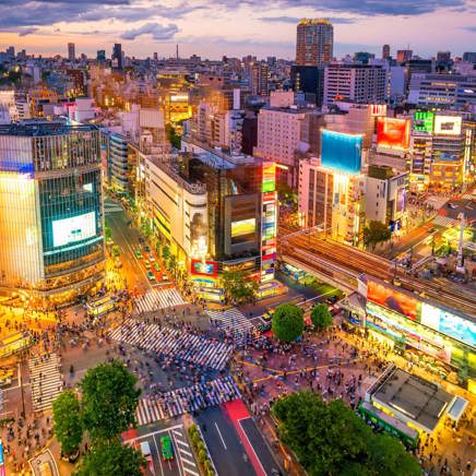 Shibuya Crossing Tokyo