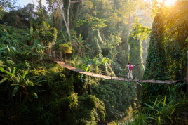 thailand - thailand_regnskov_02
