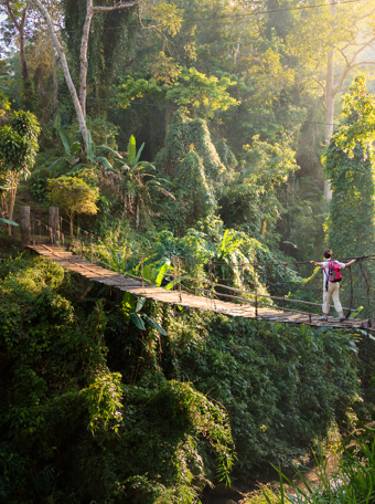 thailand - thailand_regnskov_02