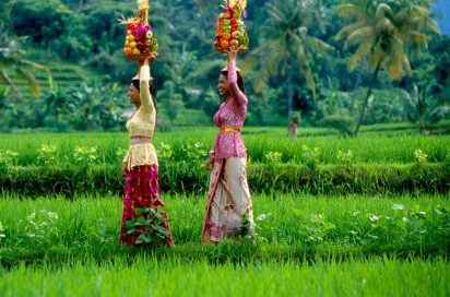 bali - bali rismark_kvinde_02